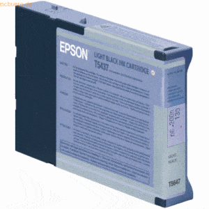 Epson Tintenpatrone Epson T543700 grau