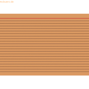 Brunnen Karteikarten A5 liniert orange VE=100 Stück