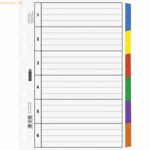 Brunnen Register A4 6-teilig Karton blanko grau farbige Taben