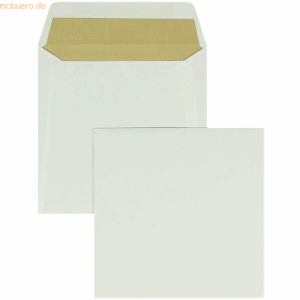 Blanke Briefumschläge Biotop3 240x240mm 120g/qm gummiert VE=250 Stück