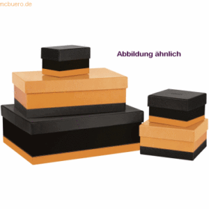Rhodia Aufbewahrungsboxen Set mit 5 Stück schwarz/orange