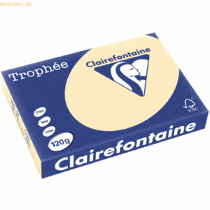 5 x Clairefontaine Kopierpapier Trophee A4 120g/qm VE=250 Blatt chamoi