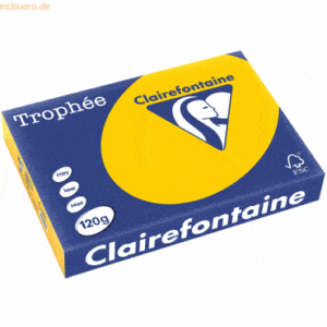 5 x Clairefontaine Kopierpapier Trophee A4 120g/qm VE=250 Blatt sonnen