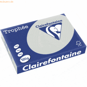 5 x Clairefontaine Kopierpapier Trophee A4 120g/qm VE=250 Blatt stahlg