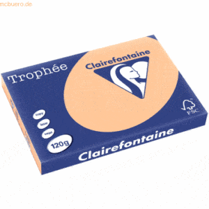 5 x Clairefontaine Kopierpapier Trophee A3 120g/qm VE=250 Blatt apriko