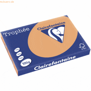 5 x Clairefontaine Kopierpapier Trophee A3 120g/qm VE=250 Blatt camel