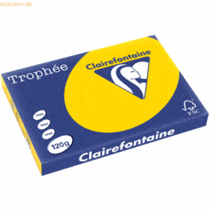 5 x Clairefontaine Kopierpapier Trophee A3 120g/qm VE=250 Blatt goldge