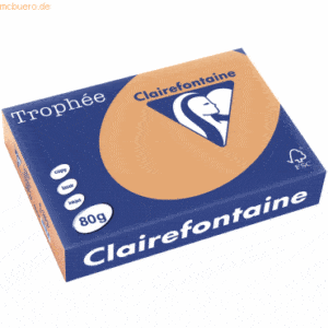 Clairefontaine Kopierpapier Trophee A4 80g/qm VE=500 Blatt camel