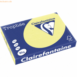 5 x Clairefontaine Kopierpapier Trophee A3 80g/qm VE=500 Blatt narziss