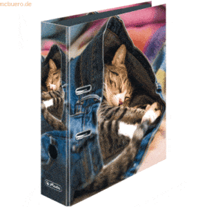 10 x Herlitz Ordner maX.file A4 8cm Jeans Cat