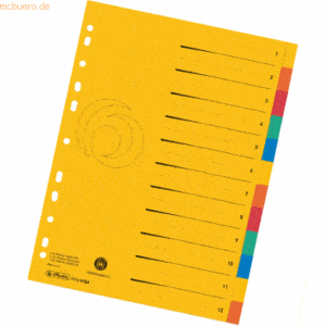 Herlitz Register A4 XXL Manila-Karton 12-teilig 5 Farben