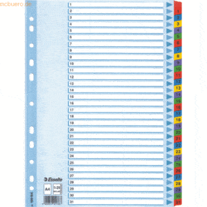 10 x Esselte Register A4 Mylar 1-31 weiß