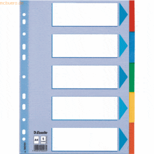 Esselte Register A4 160g/qm Karton 5-teilig