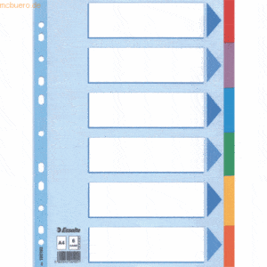 Esselte Register A4 160g/qm Karton 6-teilig