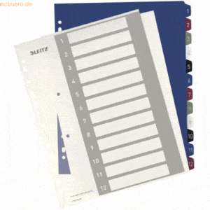 10 x Leitz Plastikregister Style 1-12 bedruckbar A4 PP 12 Blatt farbig