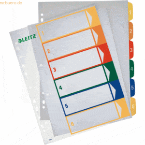 Leitz Register A4+ PP 1-6 grau