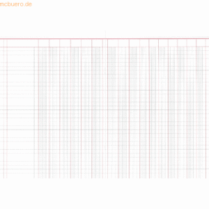 RNK Spaltenbuch A4 kartoniert 16 Spalten/2 Seiten 30 Blatt