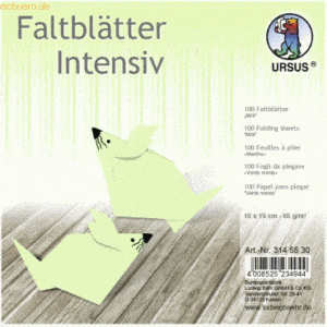 Ludwig Bähr Faltblätter Intensiv Uni 15x15cm VE=100 Blatt mint