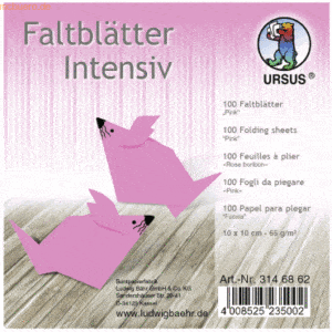 Ludwig Bähr Faltblätter Intensiv Uni 10x10cm VE=100 Blatt pink