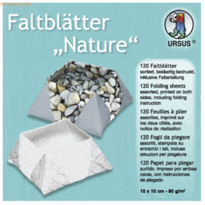 Ludwig Bähr Faltblätter Nature 80g/qm 10x10cm VE=120 Blatt 10 Motive