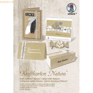 10 x Ludwig Bähr Kraftkarton Natura 250g/qm A4 4 Farben sortiert VE=16