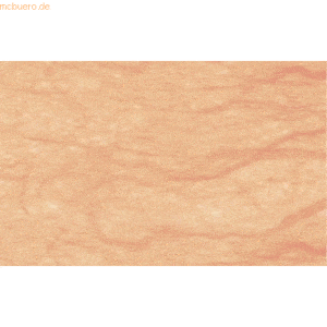 Ludwig Bähr Digital Strohseide 25g/qm A4 VE=10 Blatt apricot